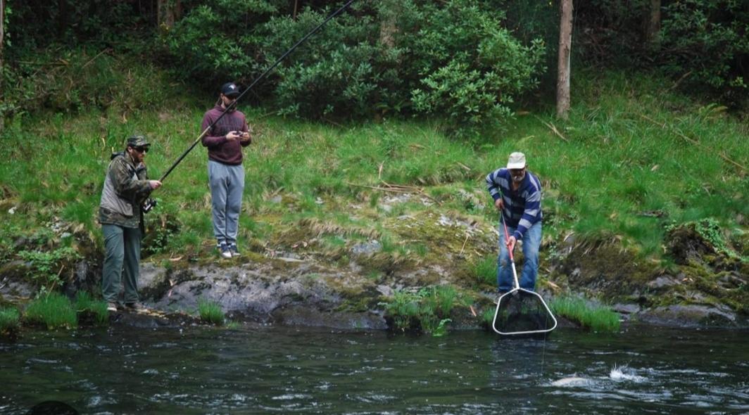 La Salmonera Cangas De Onis Caño Exteriör bild