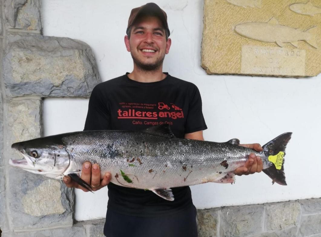 La Salmonera Cangas De Onis Caño Exteriör bild